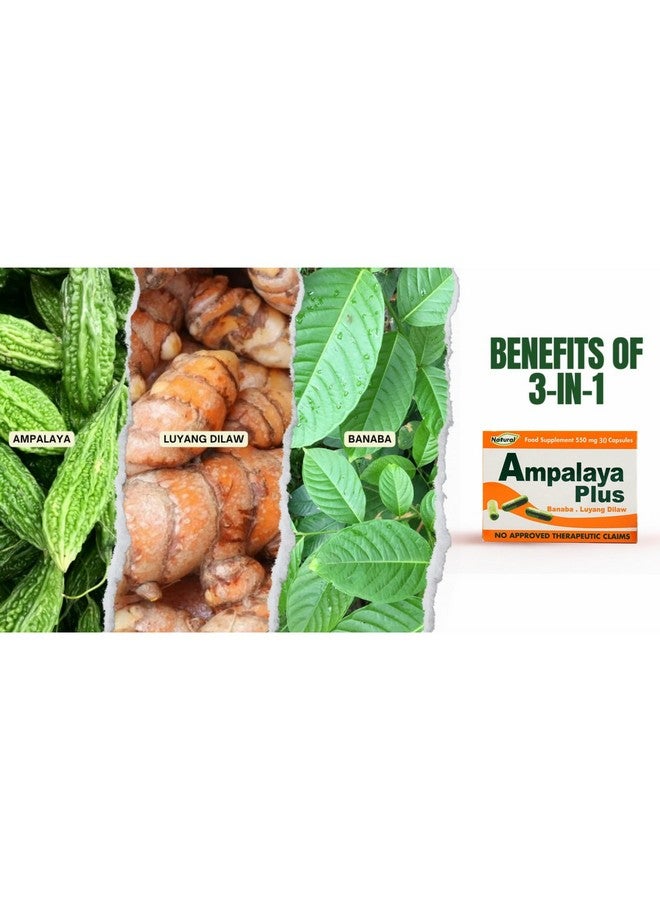 Ampalaya Supplement - 550mg 30 Capsules with Banaba,Turmeric and Bitter Melon. Ampalaya Plus Capsules - Halal Herbal Suplements - Image 3
