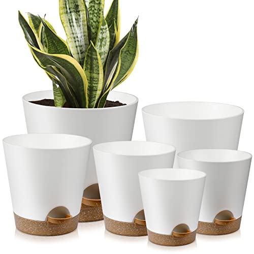 YNNICO Indoor Self Watering Planters with Drainage Holes and Saucers, 8, 7, 6.5, 6, 5.5, 5 Inches, White, 6 Pots - Image 1