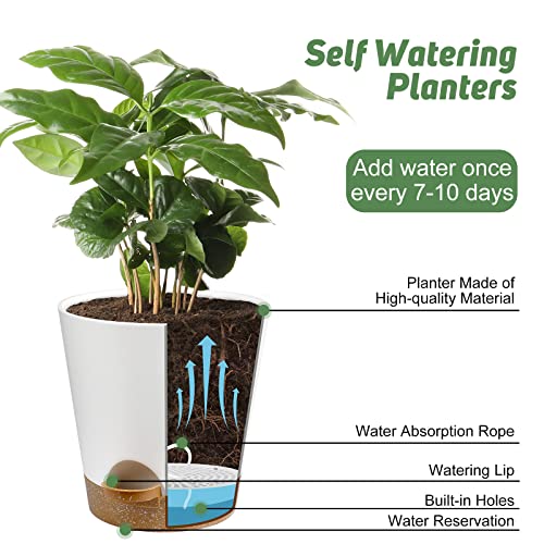 YNNICO Indoor Self Watering Planters with Drainage Holes and Saucers, 8, 7, 6.5, 6, 5.5, 5 Inches, White, 6 Pots - Image 5