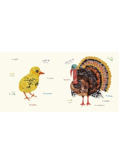 Birds (Multilingual Board Book): Words of the World
