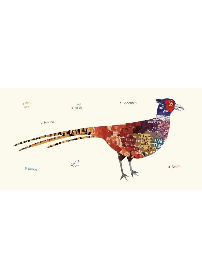 null - Birds (Multilingual Board Book): Words of the World - Image 1