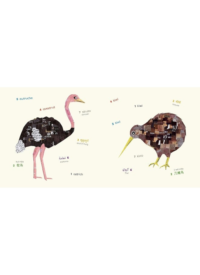 null - Birds (Multilingual Board Book): Words of the World - Image 1