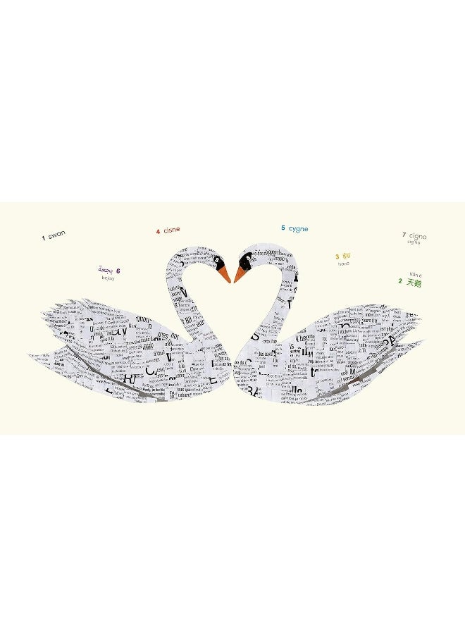 null - Birds (Multilingual Board Book): Words of the World - Image 1