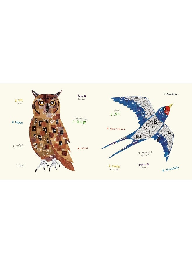 null - Birds (Multilingual Board Book): Words of the World - Image 1