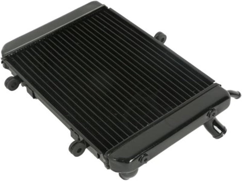 DEMULAX Motorcycle Engine Radiator Cooler - Image 5