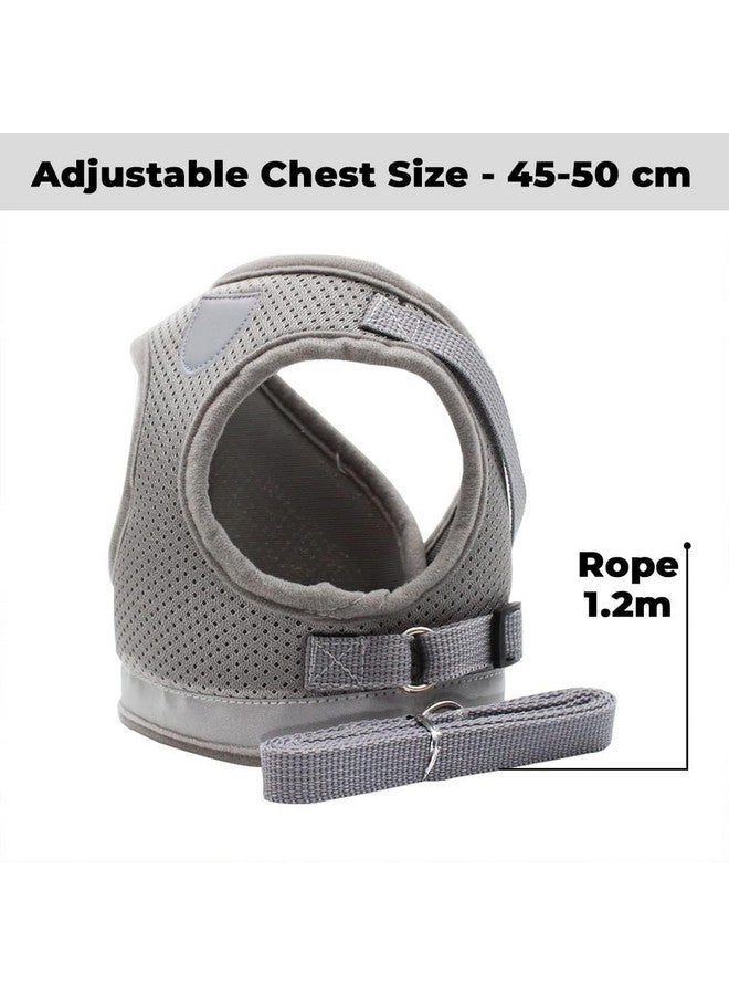 Hearts Reflective Dog Harness With Adjustable Leash|Breathable Polyester Mesh Fabric |Xl Size|Ht-844|Comfortable No-Pull Grip|Quick Release Buckles|Easy On - Easy Off Harness|Grey - Image 4