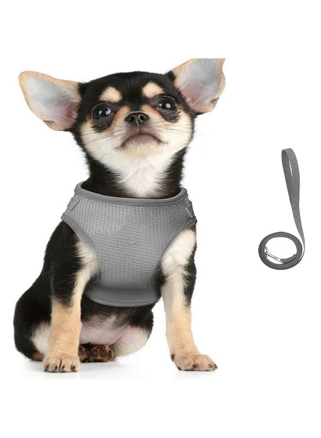 Hearts Reflective Dog Harness With Adjustable Leash|Breathable Polyester Mesh Fabric |Xl Size|Ht-844|Comfortable No-Pull Grip|Quick Release Buckles|Easy On - Easy Off Harness|Grey - Image 1