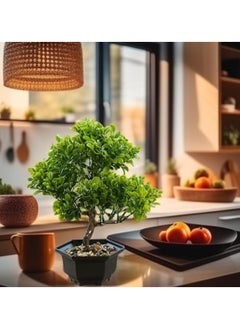 Generic Artificial Plant Potted Plants Simulation Green Plant Decoration Suitable for Office Home Furnishings Living Rooms Bedrooms Height 25cm Plastic Flower Pots Fake Plants (A-2)  - Image 4