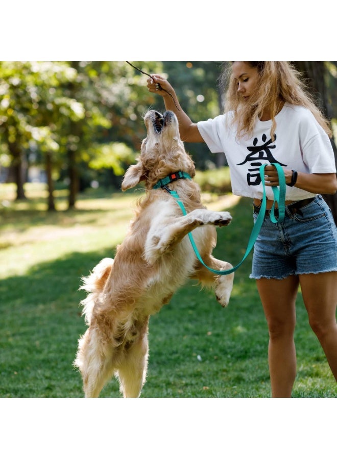 CollarDirect Reflective Dog Collar for a Small, Medium, Large Dog or Puppy with a Quick Release Buckle - Boy and Girl - Nylon Suitable for Swimming (14-18 Inch, Mint Green) - Image 4