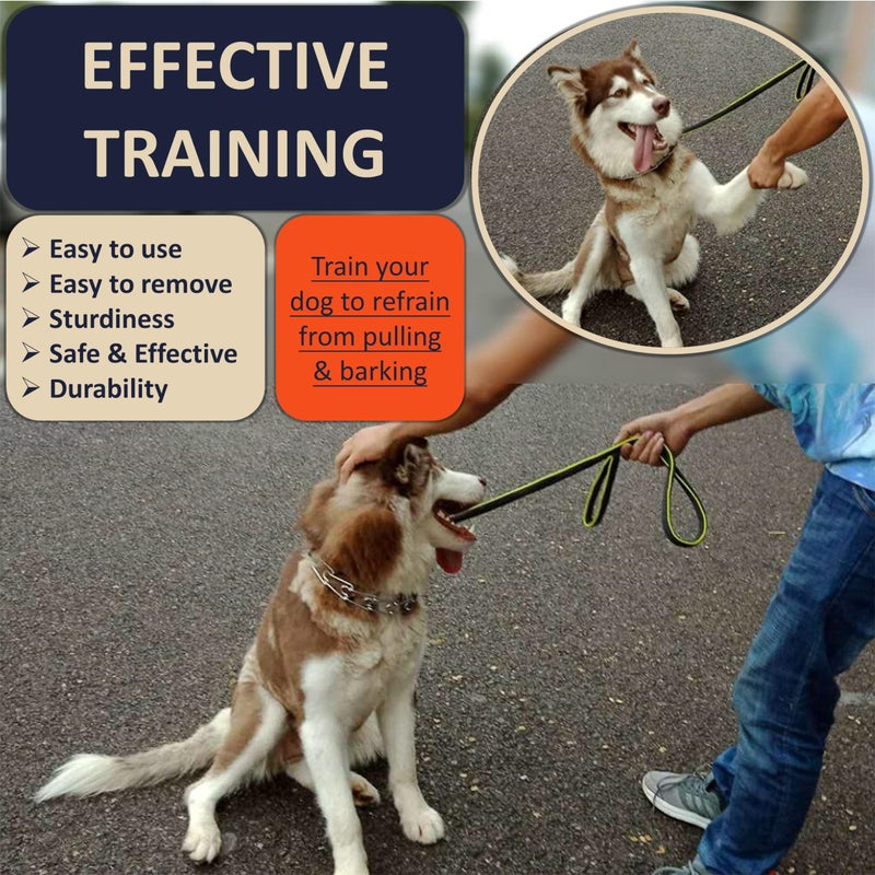 DEYACE Stainless Steel Dog Training Collar, Quick Release Buckle, Adjustable Collar for Small Dogs Neck Girth 8.5"-10.5" - Image 2