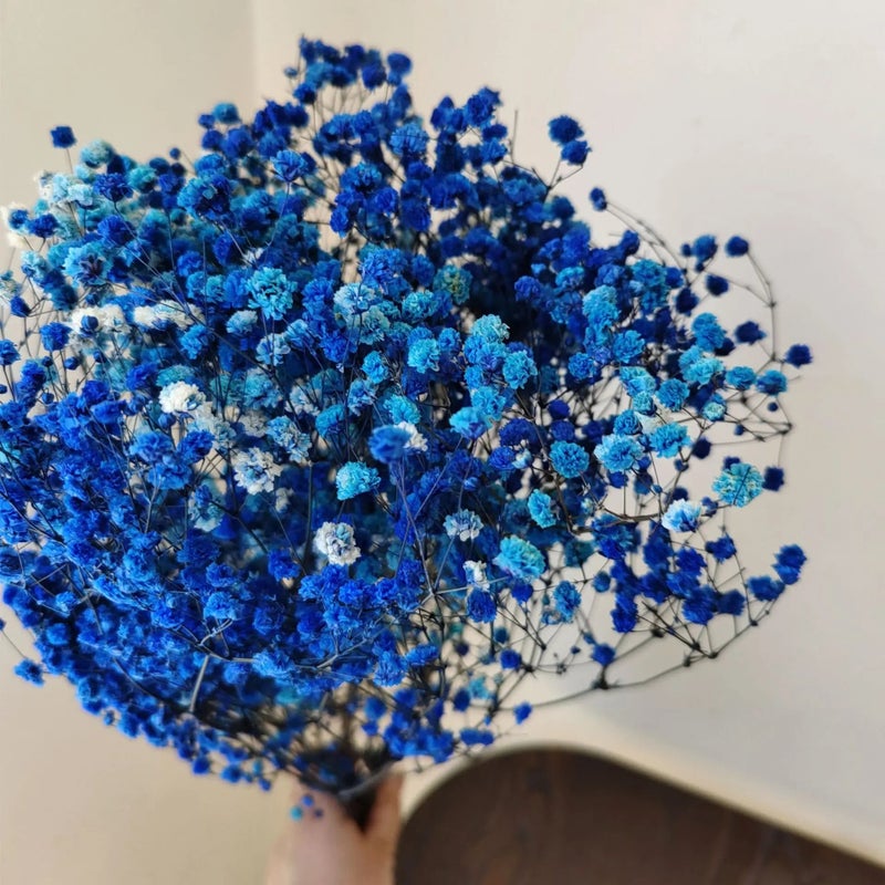Bluejw Yopin-2226 Dried Gypsophila Flowers – Preserved Baby's Breath for Weddings, DIY Crafts & Home Decor | Natural Dried Plants, Long-Lasting Bouquet Filler - Image 5