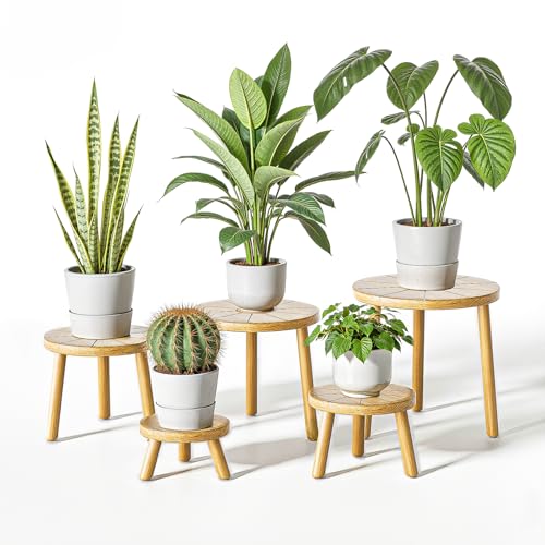Delma Wood Plant Stands Indoor 5Pack Single Plant Stand for 612 Inch Pots MidCentury Modern Plant Stool Tall Plant Stand for Large Plants for Living Room Balcony Office Light Brown 5Pack - Image 1