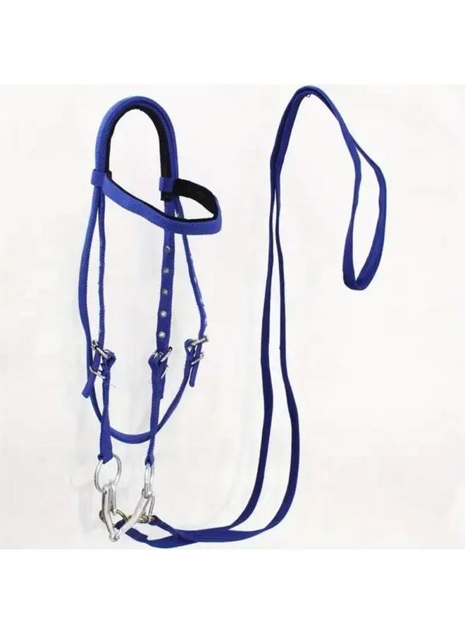 لجام الحصان الأزرق حبل اللجام معدات الفروسية لجام المهر غطاء الرأس - Image 1