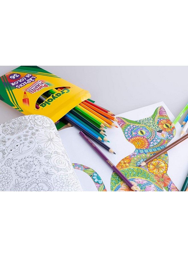 Crayola أقلام ملونة 36 جودة ممتازة أقلام مسبقة الشحذ طويلة الأمد غير سامة مجموعة أقلام ملونة للكتب التلوين للكبار أو الأطفال 4 سنوات وما فوق رائعة للتظليل والتدرج وفن الخط والمزيد (عبوتان)  - Image 3