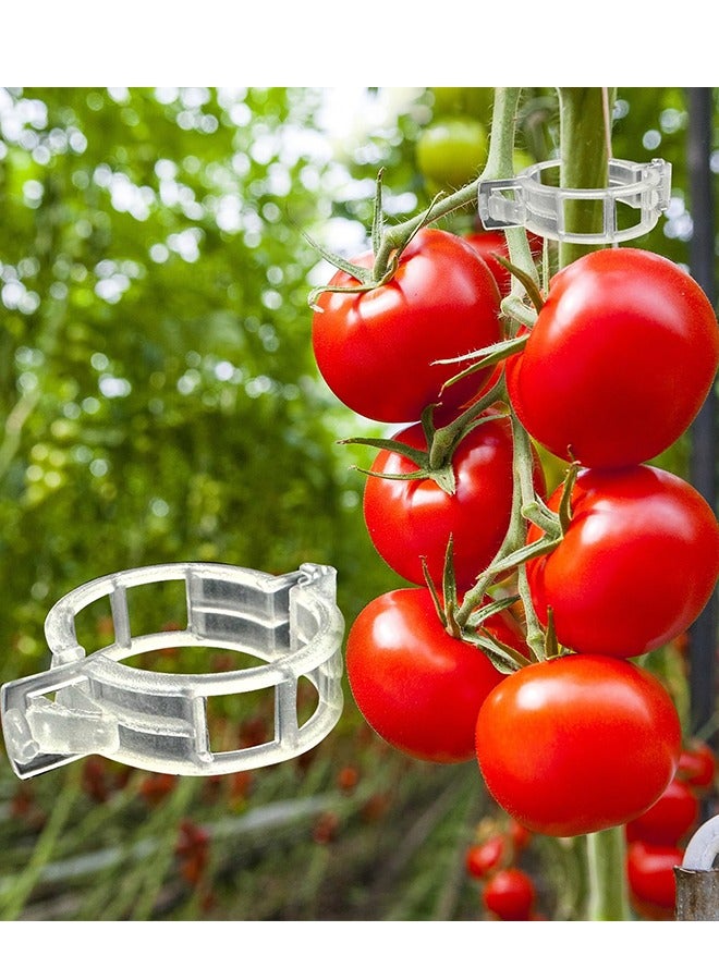 300Pcs Tomato Clips, Plastic Trellis Clips Plant Support Clips, Plant Clips for Support, Grape Vine, Tomato Vine, Vegetables Plants, Garden Clips to Grow Upright Makes Plants Healthier - Image 1