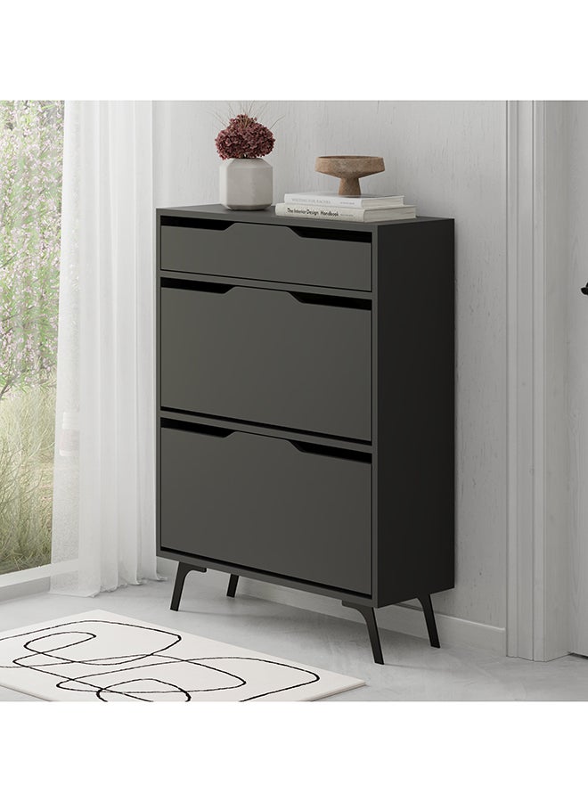 Mourah Home Asta Shoe Cabinet 12 Pairs Entryway Storage Cabient With 4 Doors & Metal Legs Shoe Rack For Hallway Bedroom Living Room  29.5X110X 81.6 Cm  Dark Grey  - Image 1