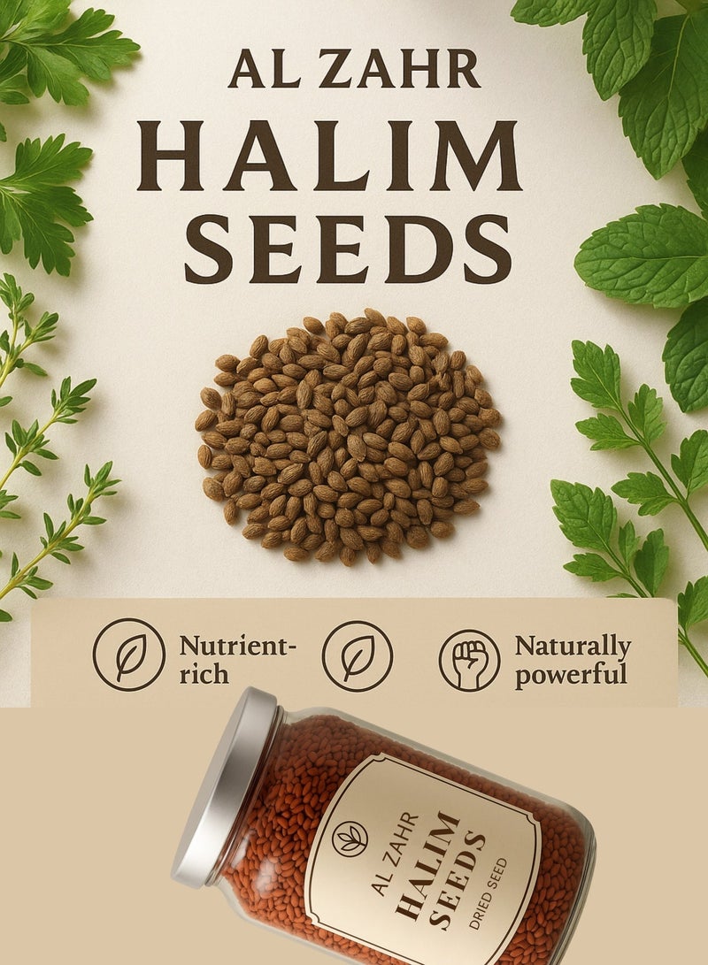 زهر بذور الزهر حليم - 100% نقية ومُعالجة بالشمس | بذور جرجير الحديقة المجففة الطبيعية الصالحة للأكل (حليم) - Image 3