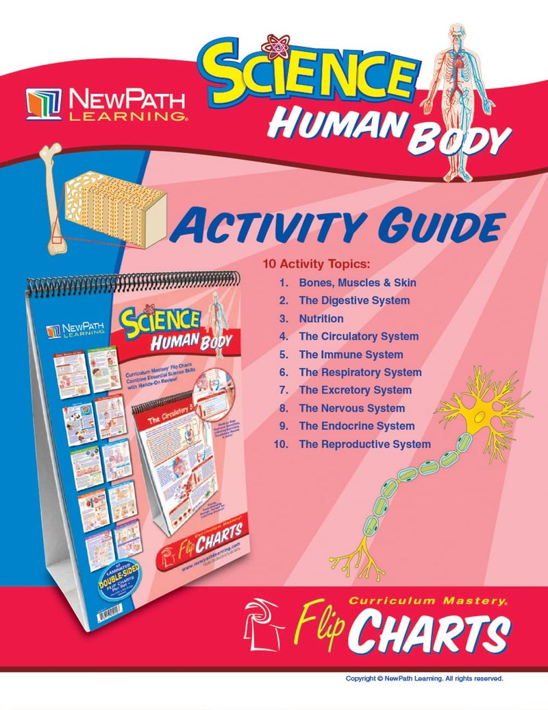 New Path Learning NewPath Learning 10 Piece Human Body Science Curriculum Mastery Flip Chart Set, Grade 6-10 - Image 4