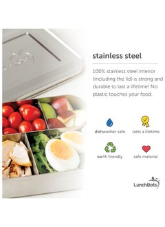 LunchBots Medium Duo Bento Divided Stainless Steel Food Container Lunch Box, Green Dots  - Image 3