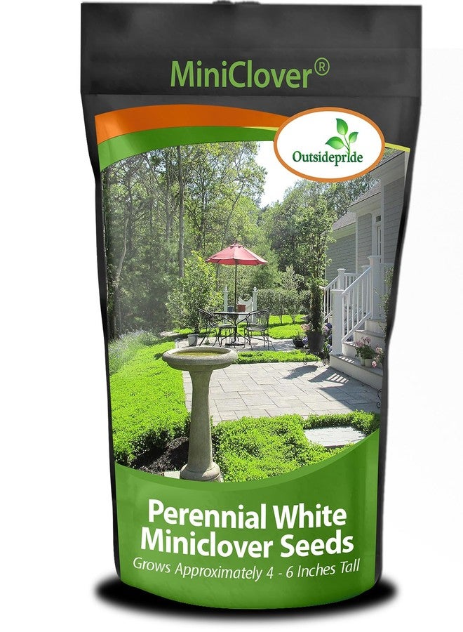 Outsidepride Perennial White MiniClover Seed - 1 lb. Dwarf, Small-Leaved, Drought & Wear-Tolerant Micro Clover Seeds for Lawn, Ideal Low-Maintenance & Easy to Grow Ground Cover Seeds for Home Yard - Image 1