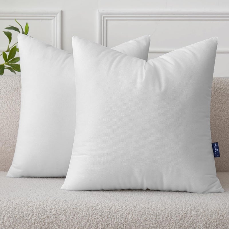 MIULEE Set of 2 Throw Pillow Inserts 22x22 Inches Nowoven Decorative Pillow Inserts for Living Room