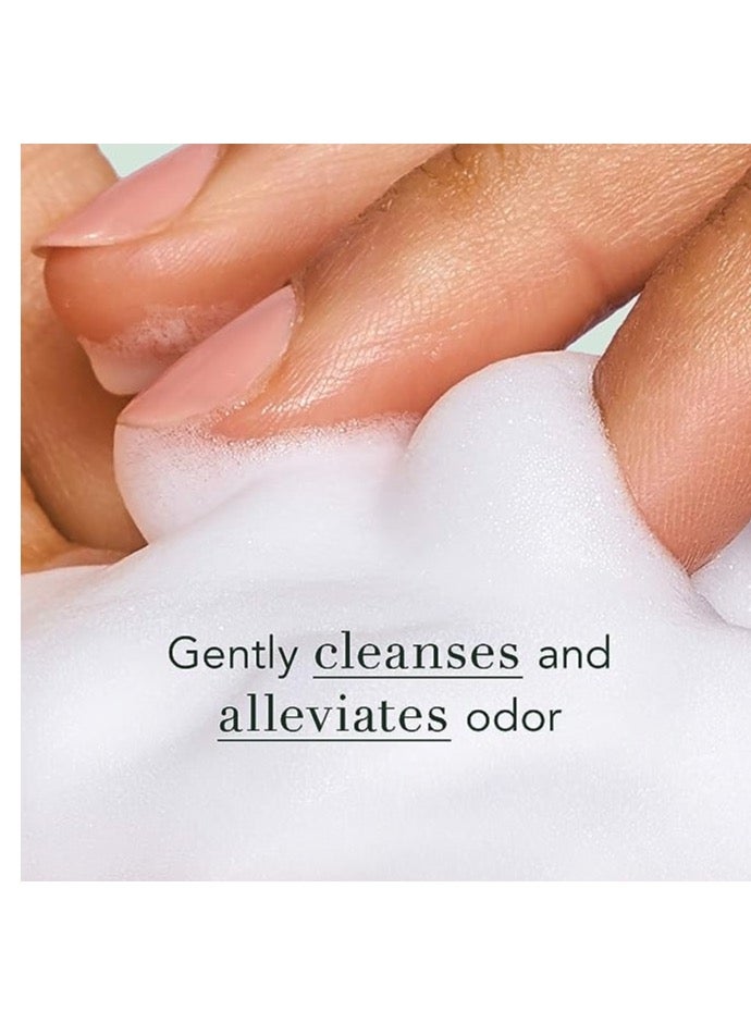 ريل شركة RAEL Inc. غسول أنثوي رغوي طبيعي، للبشرة الحساسة، خال من العطر - Image 2