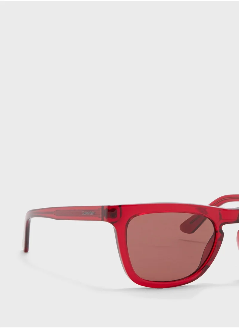 CALVIN KLEIN Butterfly Sunglasses