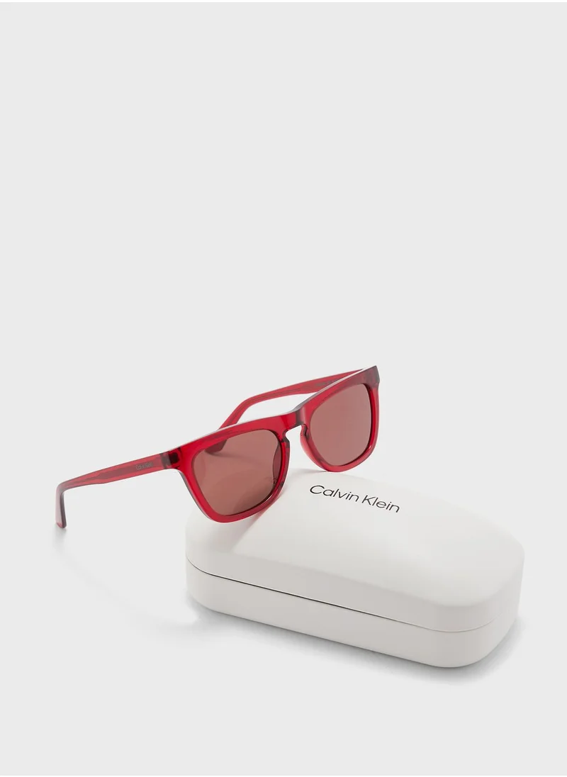 CALVIN KLEIN Butterfly Sunglasses