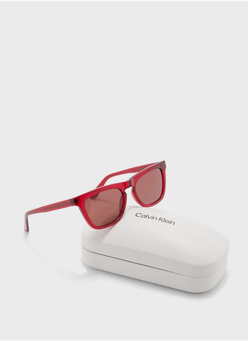 CALVIN KLEIN Butterfly Sunglasses  - Image 5