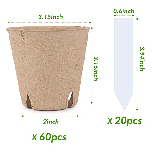homenote Peat Pots, 60 Pcs 3.15 Inch Seed Starting Pots with Drainage Holes, Round Nursery Plant Pots with Bonus 20 Plant Labels - Image 3