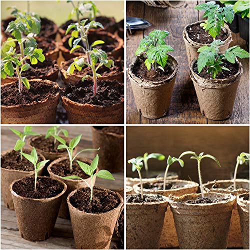 homenote Peat Pots, 60 Pcs 3.15 Inch Seed Starting Pots with Drainage Holes, Round Nursery Plant Pots with Bonus 20 Plant Labels - Image 4
