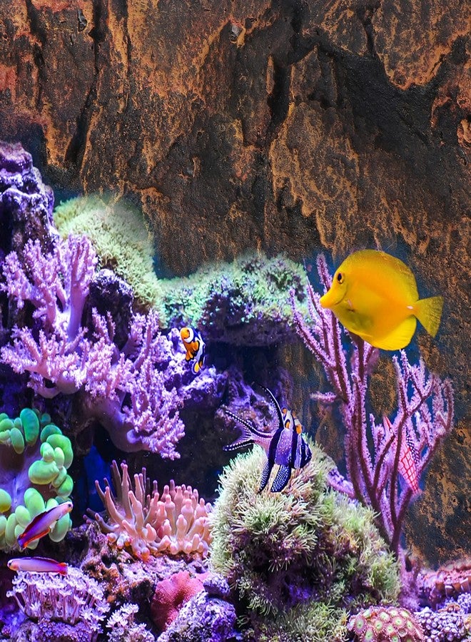 UKCOCO 3D Aquarium Background Terrarium Background- Reptile Tank Background Board 3D Rock Background, Background for Aquarium Reptile Terrarium Background Decoration Reptile Tank - Image 4