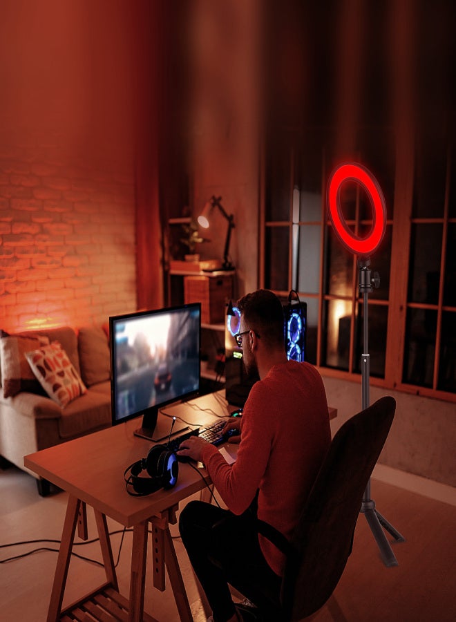أندوير مجموعة إضاءة حلقية LED PH-01 مقاس 6 بوصات تتضمن 1* إضاءة حلقية USB 5600K + 1* حامل ثلاثي لسطح المكتب + 1* رأس كروي معدني مرن + 4* ألوان (أحمر/أصفر/أزرق/أخضر) للبث المباشر عبر الإنترنت - Image 4