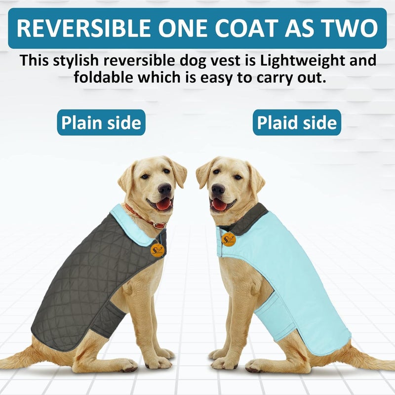 Sage Square Winter Coat, Reversible Warm Dog Jacket, Waterproof & Windproof Cold Weather Coat, Stylish & Cozy (Sky Blue) (Large - 24 Inches) - Image 2