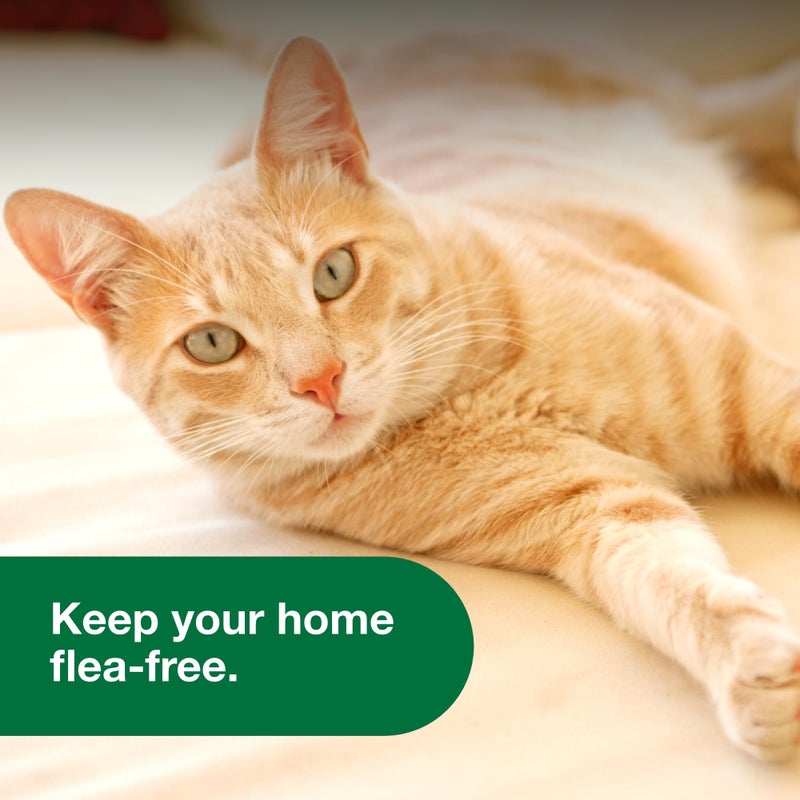 Advantage Household Spot & Crevice Spray | Kills Fleas & Ticks & Bedbugs | 24 oz. - Image 3