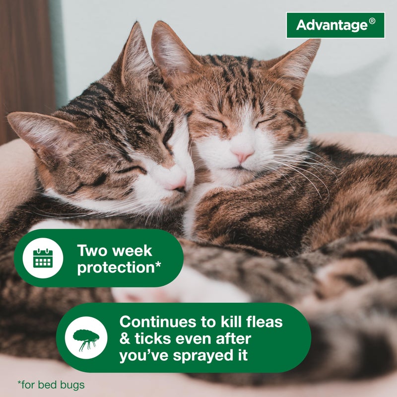 Advantage Household Spot & Crevice Spray | Kills Fleas & Ticks & Bedbugs | 24 oz. - Image 5