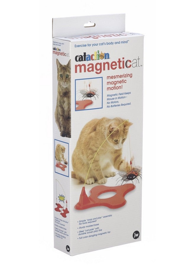 جي دبليو لعبة قطط ماجنتيكات من بت، متعددة الألوان، مقاس واحد، (71046) - Image 3