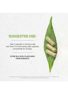 Secrets of the Tribe Secrets Of The Tribe Spearmint Capsules 1000 mg Organic Spearmint (Mentha spicata) Dried Leaf, Women's Hormone Support Supplement (120 Capsules)  - Image 2