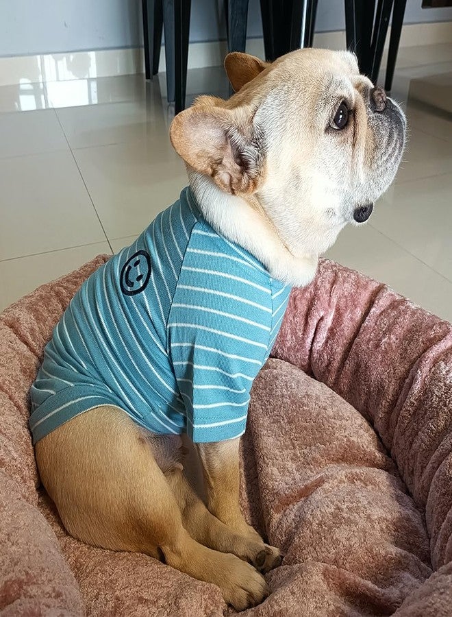 Wiz BBQT Cotton Dog Shirts for Small Dogs,Girl Boy Pet Clothes, Striped Matching Dog and Owner Outfits Separately(Blue, Pet-XXL) - Image 4