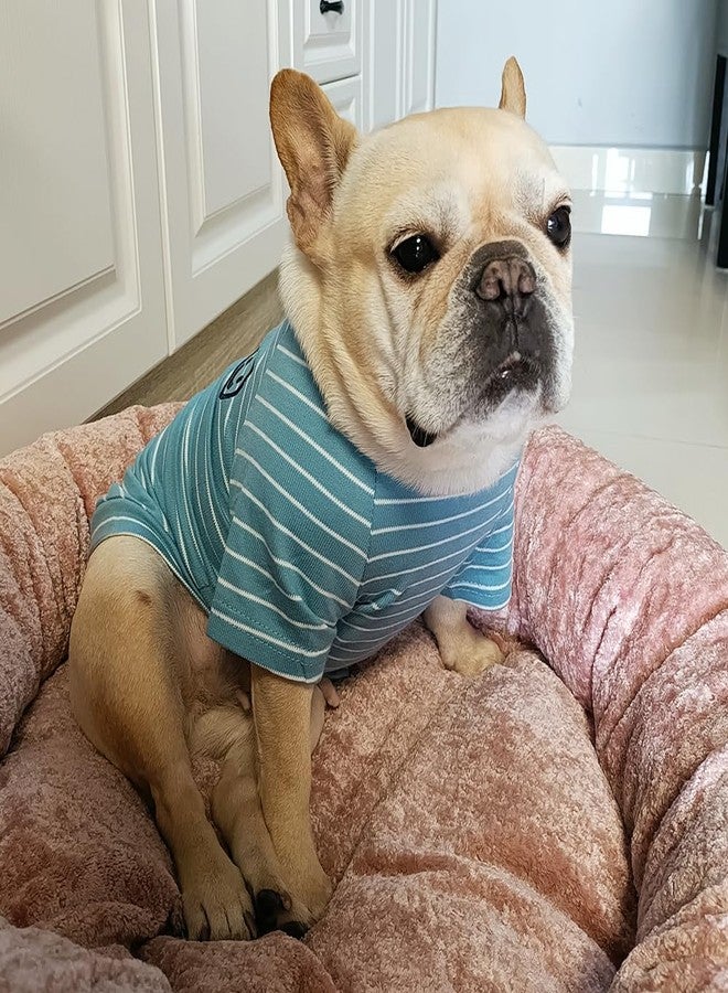 Wiz BBQT Cotton Dog Shirts for Small Dogs,Girl Boy Pet Clothes, Striped Matching Dog and Owner Outfits Separately(Blue, Pet-XXL) - Image 3