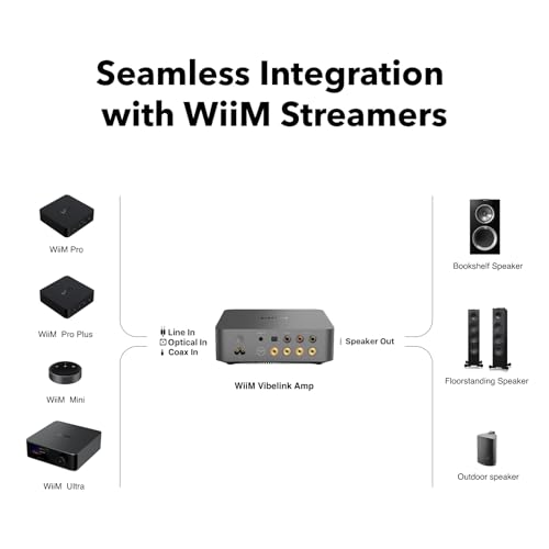 WiiM مضخم الصوت WiiM Vibelink | مضخم طاقة 100 واط مع DAC ESS 9039Q2M المتميز و TI TPA3255 | متوافق مع WiiM Mini و Pro و Pro Plus و Ultra | مدخلات RCA و Coax و Optical | رمادي فضائي - Image 4
