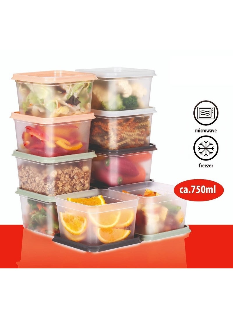 Alpina Food Container With Lid Set Of 10 Boxes 750 ML - Image 1