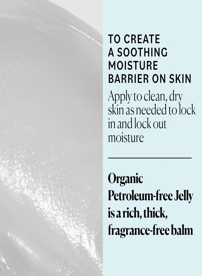 Sky Organics جيلي سكاي أورغانيكس العضوي خالي من البترول، بلسم للعناية بالبشرة متعدد الاستخدامات مع زبدة الشيا العضوية، زيت جوز الهند، زيت الزيتون وفيتامين E، بلسم مرطب للشفاه ومرطب للبشرة الجافة، 2.5 أونصة مع كتاب إلكتروني - Image 3