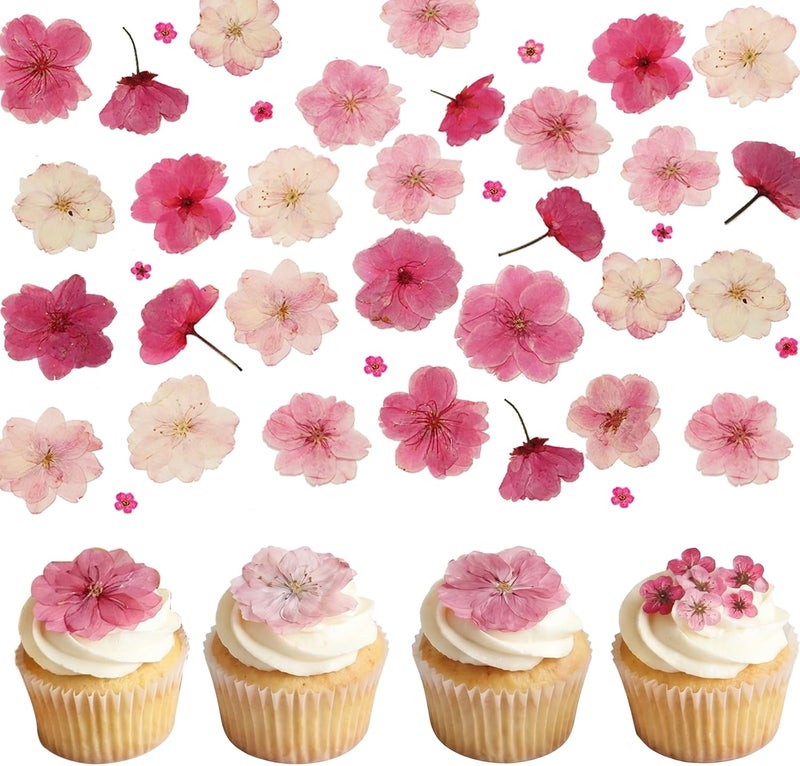SUPROD 50 Pcs Pink Dried Pressed Flowers Cake Decorations Cherry Blossoms Flowers for Dessert Table Birthday Bridal Wedding Baby in Bloom Baby Shower Party Décor - Image 1