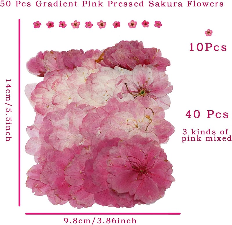 SUPROD 50 Pcs Pink Dried Pressed Flowers Cake Decorations Cherry Blossoms Flowers for Dessert Table Birthday Bridal Wedding Baby in Bloom Baby Shower Party Décor - Image 5