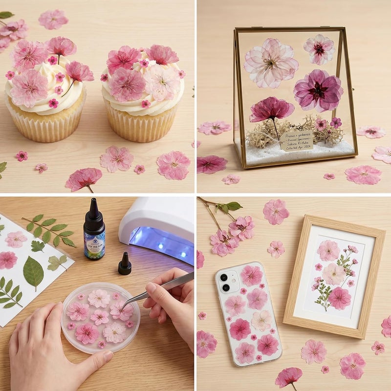SUPROD 50 Pcs Pink Dried Pressed Flowers Cake Decorations Cherry Blossoms Flowers for Dessert Table Birthday Bridal Wedding Baby in Bloom Baby Shower Party Décor - Image 4