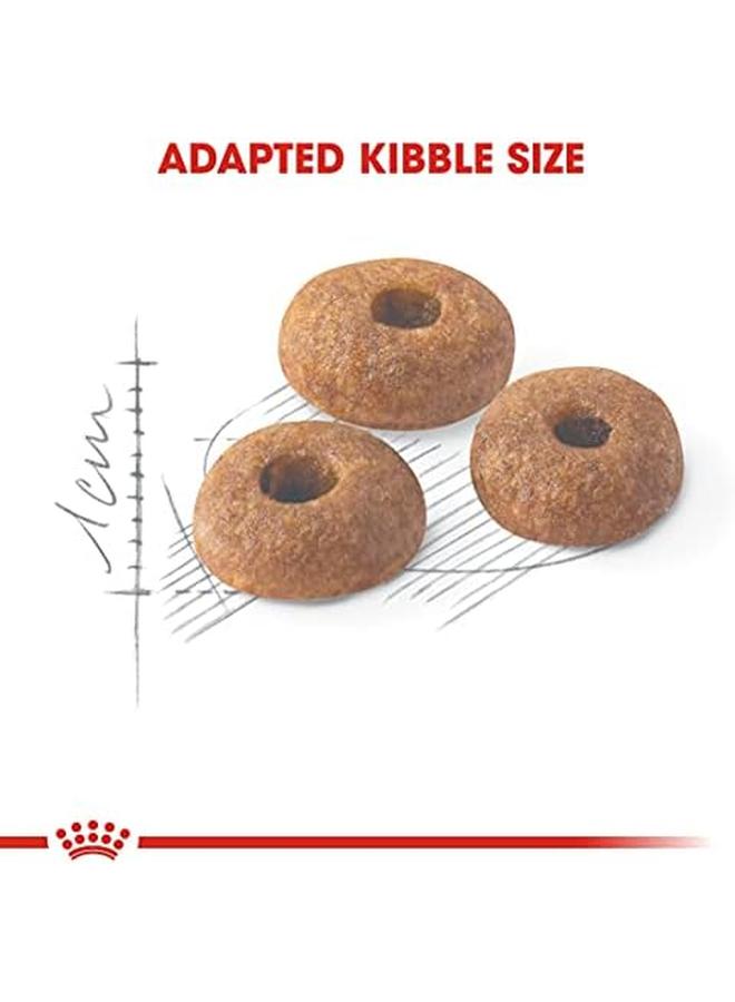 ROYAL CANIN Health Nutrition Fit 32 400 G Multicolor - Image 4