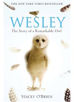 Wesley: The Story of a Remarkable Owl 