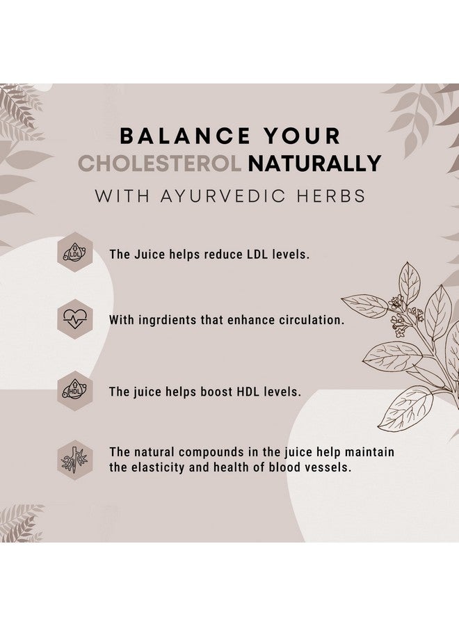 Four Seasons Cholesterol Care Juice 1000Ml | Ayurvedic Heart Health Formula with Apple Cider, Honey, Garlic, Lemon & Ginger | BP Care | Boost Metabolism - No Added Sugar - Image 3