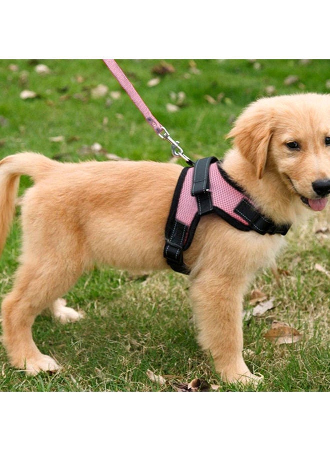 نيبمينينت حزام صدر للكلاب جيد التهوية وردي - Image 2